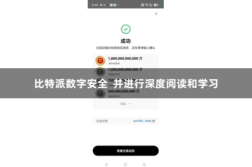 比特派数字安全 并进行深度阅读和学习