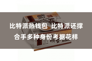 比特派热钱包 比特派还撑合手多种身份考据花样
