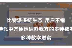 比特派多链生态 用户不错在比特派中方便地惩办我方的多种数字财富