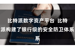 比特派数字资产平台  比特派构建了银行级的安全防卫体系